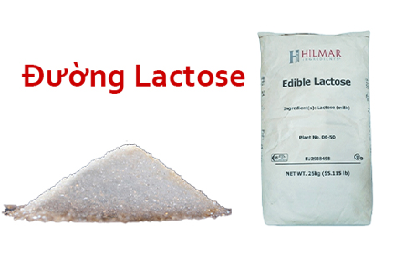 ĐƯỜNG LACTOSE LÀ GÌ? ỨNG DỤNG NHƯ THẾ NÀO.