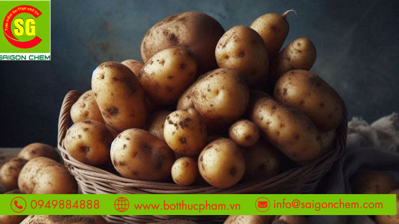 KHÁM PHÁ TOÀN DIỆN NHỮNG CÔNG DỤNG ĐẶC BIỆT CỦA TINH BỘT KHOAI TÂY